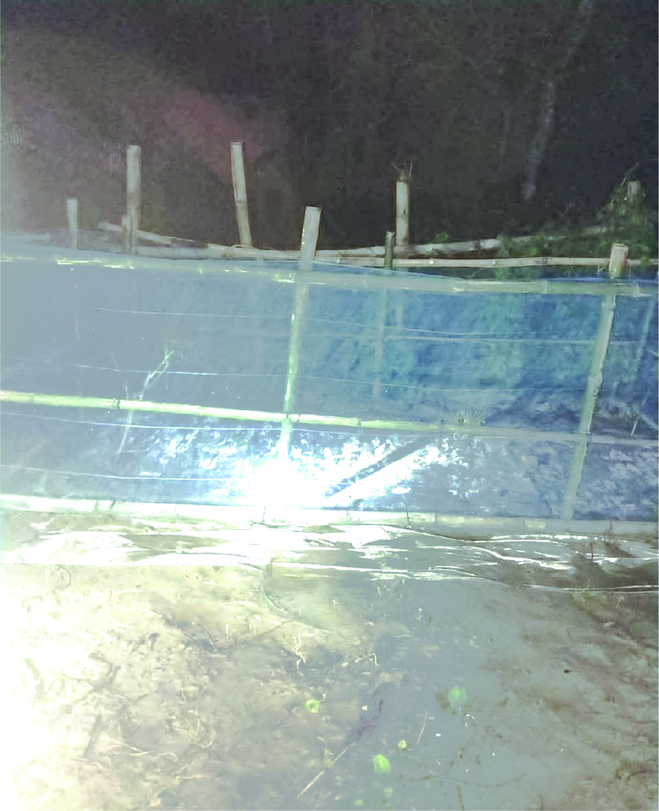 Image of আশরাফুল হাওলাদার